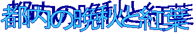 都内の晩秋と紅葉